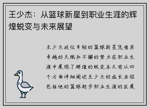 王少杰：从篮球新星到职业生涯的辉煌蜕变与未来展望